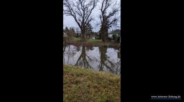 Mühlgraben/überflutete Gärsten Weide Zufluss Mühlgraben/Unstrut - 25.12.