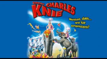 Kartenverlosung für Zirkus Charles Knie