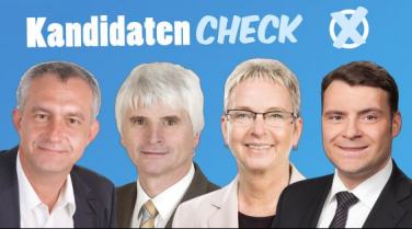 Politikercheck zur Bundestagswahl 2013