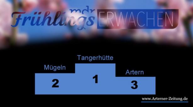 Artern letzter