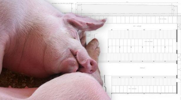 Aus dem Urteil zur Schweinemastanlage Oldisleben