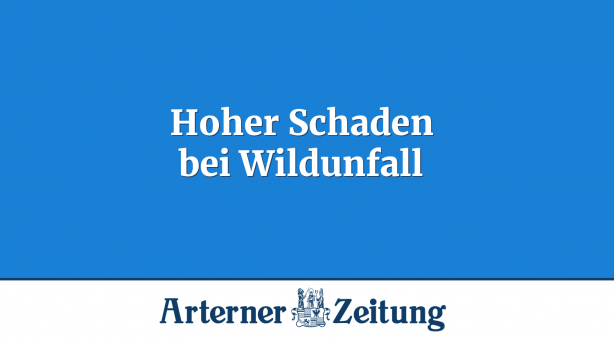 Hoher Schaden bei Wildunfall