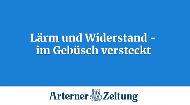 Lärm und Widerstand - im Gebüsch versteckt