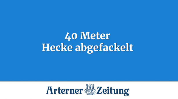 40 Meter Hecke abgefackelt