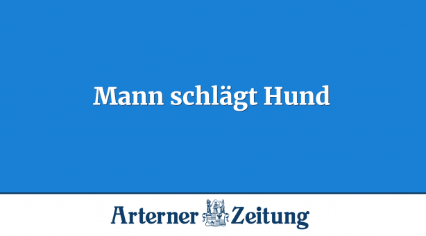 Mann schlägt Hund