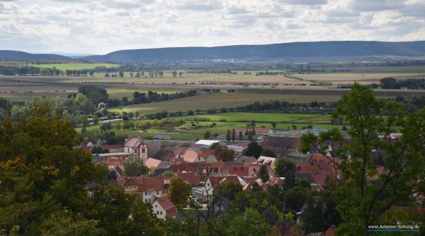 Kirschbäume für Arten - Pflanzaktion in Artern