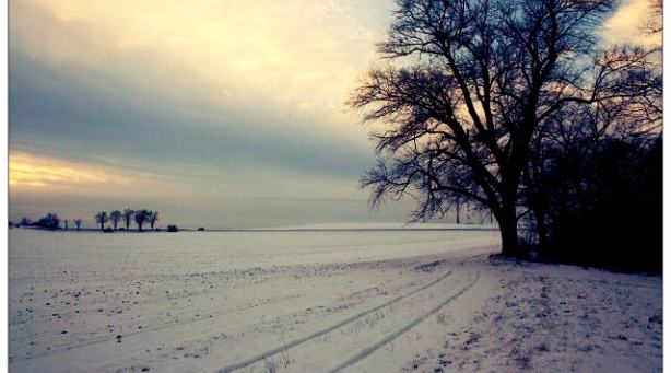 Winterwunderland