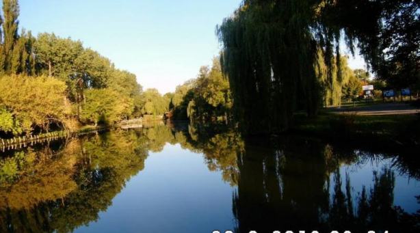 Abfischen Karpfenteich Artern