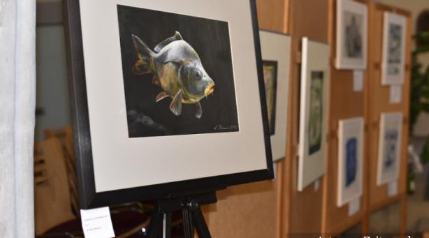 Bilder-Ausstellung